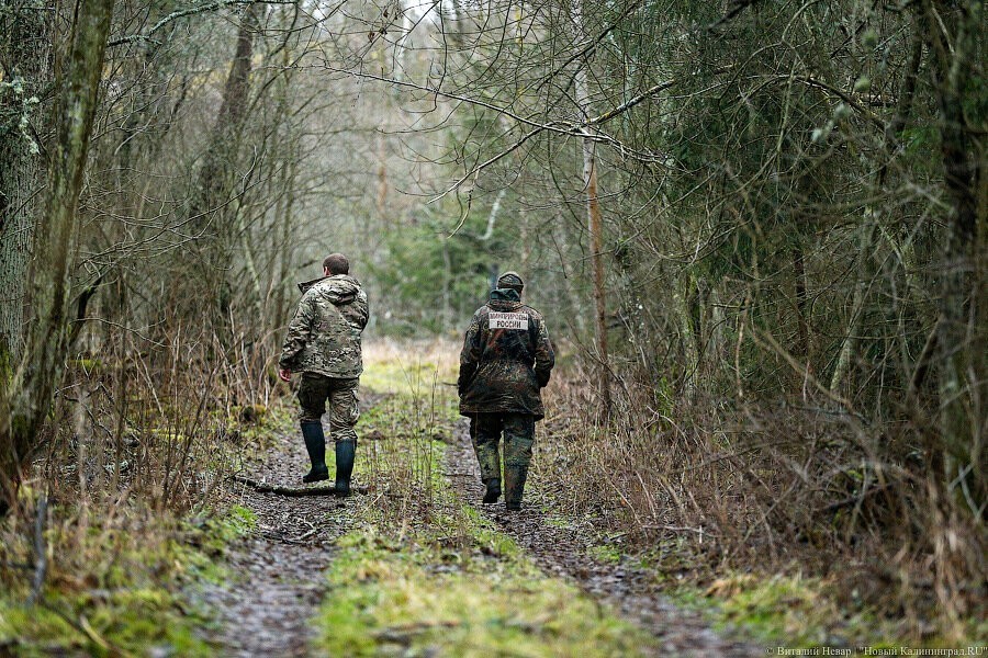 В калининградском минприроды рассказали, сколько птиц можно убить на весенней охоте