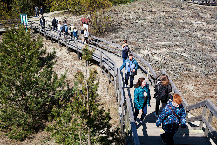 «Надо что-то делать, это нереально»: Куршская коса едва справляется с турпотоком