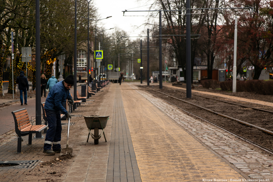 50 оттенков коричневого: как выглядит после ремонта Фестивальная аллея (фото)