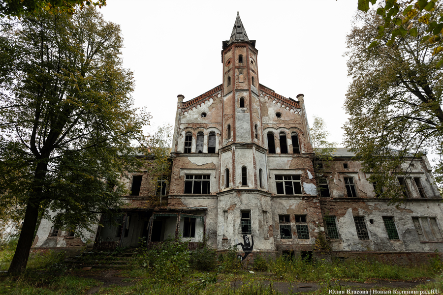 Фото: Юлия Власова / Новый Калининград