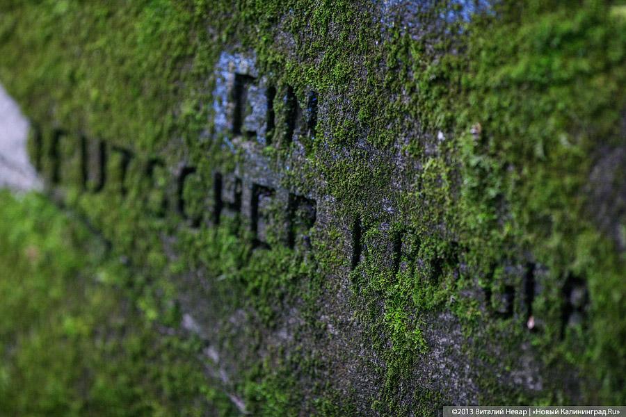 По следам Первой мировой: немецкий обелиск в память о русских воинах