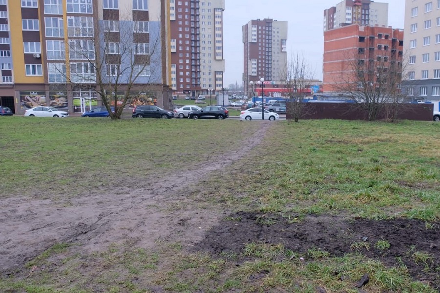 В Калининграде ищут подрядчика, который замостит «народные тропы» в Елизаветинском парке