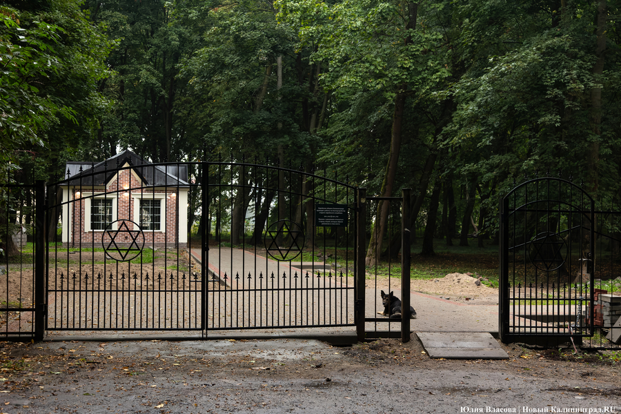 В Калининграде начали благоустраивать старое еврейское кладбище (фото)