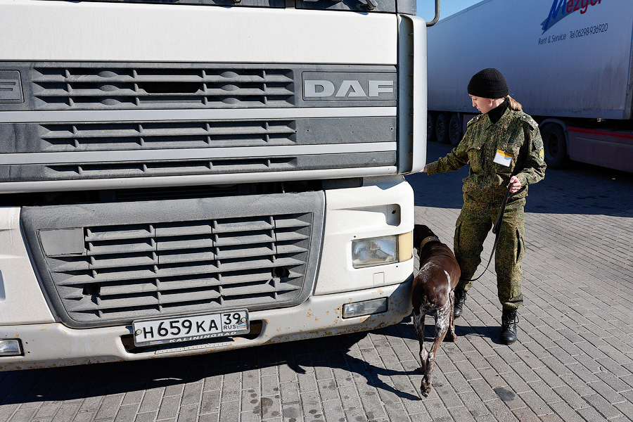 Польша предлагает запретить грузовикам из ЕС проезд в Белоруссию и Россию