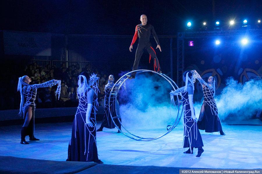 «Цирк в подарок»: фоторепортаж c премьеры цирковой программы