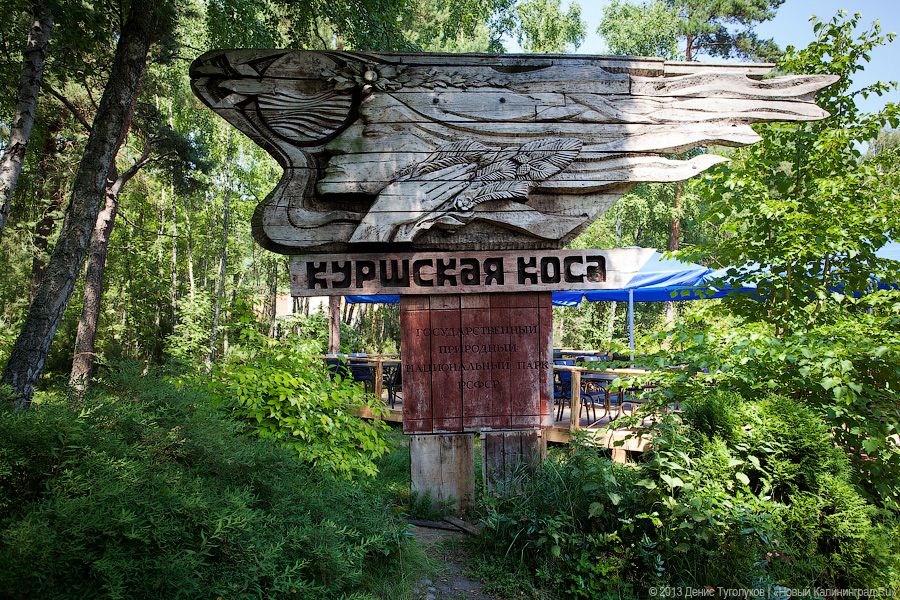 Фото — Денис Туголуков, «Новый Калининград.Ru»