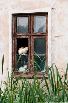 Капремонт жилья стал заботой собственников квартир 