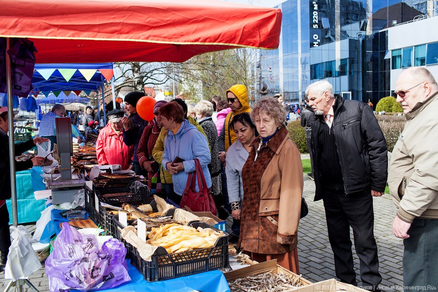 Салаке и корюшке на заметку: как прошёл День селёдки в Калининграде