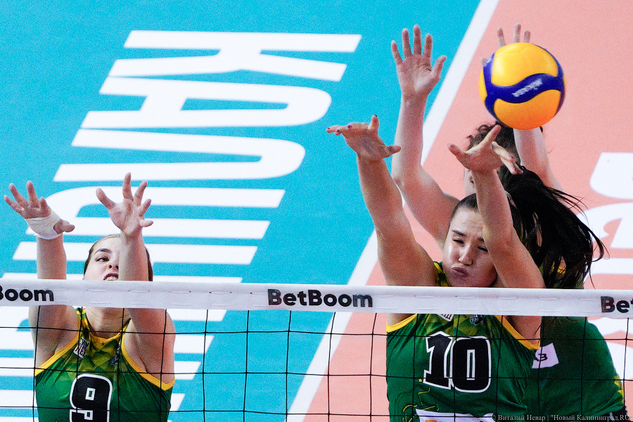 Сборная и 3 сильнейших клуба: волейбольный турнир на Кубок губернатора в «Янтарном»