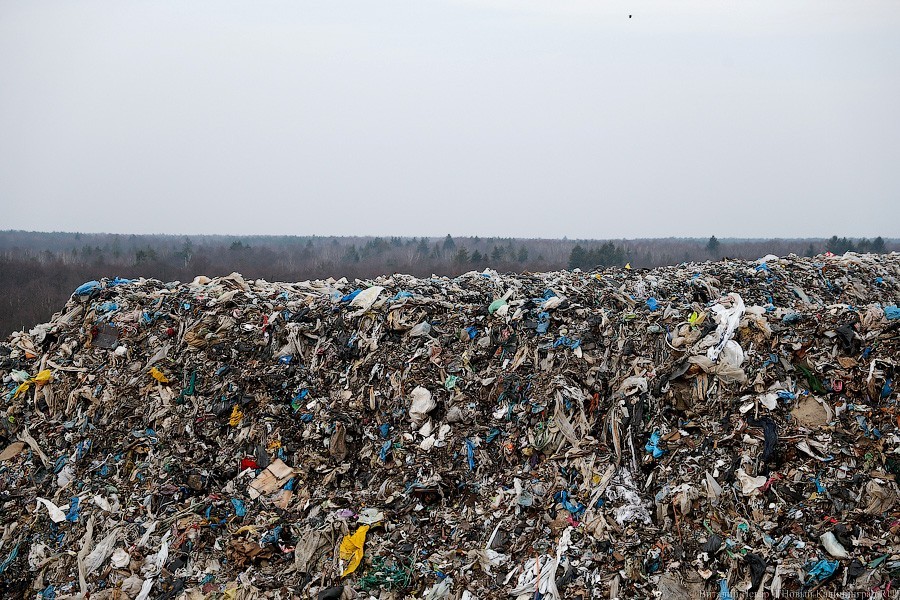 Областные власти перестают рассчитывать стоимость вывоза мусора по площади квартиры