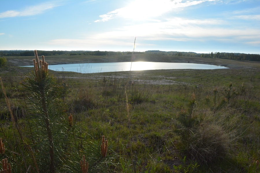 Озеро вместо леса: как выглядит после рекультивации карьер, где вырубили 60 га (фото)
