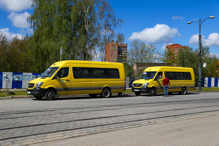 В Калининграде отменили маршрутку, ходившую на Остров