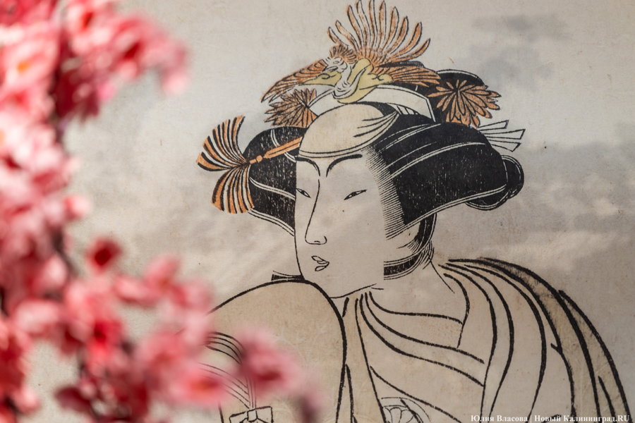 Япония рядом: в Музее изобразительных искусств открылись Дни Эрмитажа (фото)