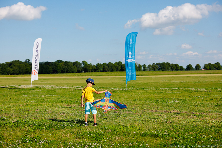 Люди как птицы: под Калининградом прошел этап Кубка России по купольному пилотированию (фото)