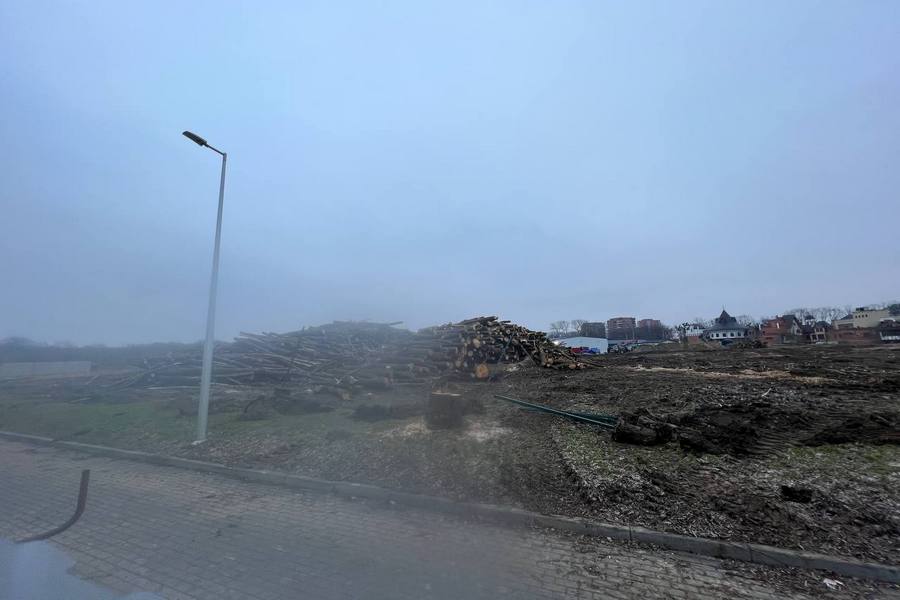 Штабеля и пустырь: на ул. Невского закончилась вырубка для будущего кампуса БФУ (фото)