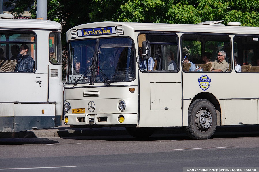 В Калининграде из-за «подрезавшего» автобус автомобиля пострадали две пенсионерки