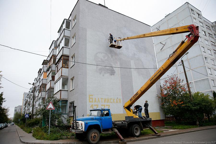 Вежливые люди и котик: судьба политического граффити о Крыме в Калининграде