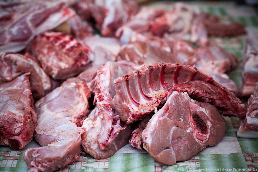 Власти: все поголовье крупнейшего свинокомплекса уничтожат, но оно застраховано