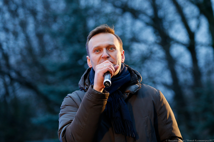 В клинике Charité подтвердили отравление Алексея Навального