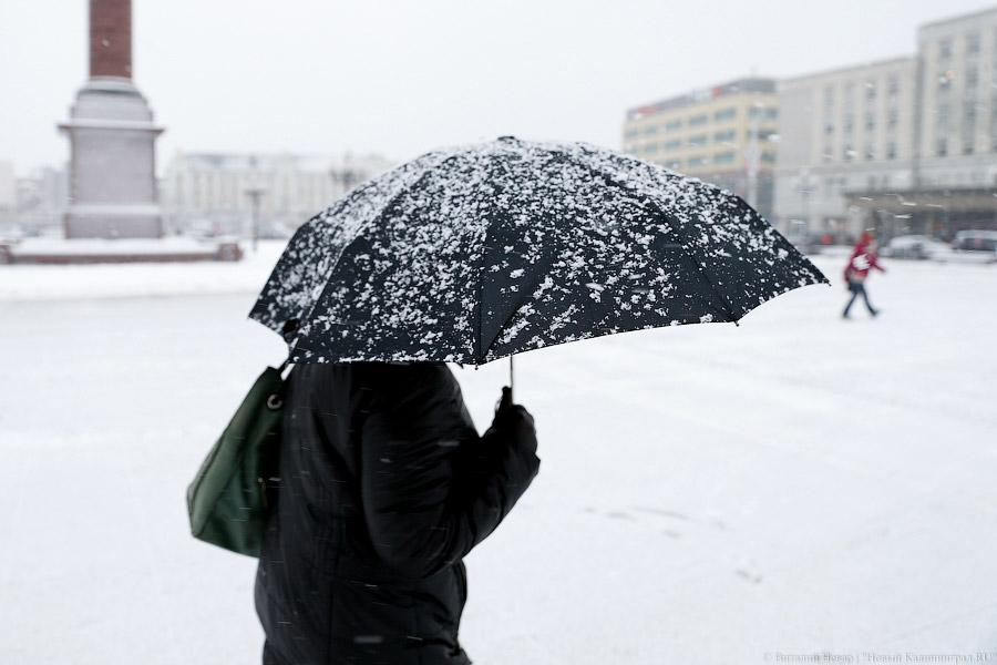 Белый снег, серый лёд: зима в Калининграде (фото)