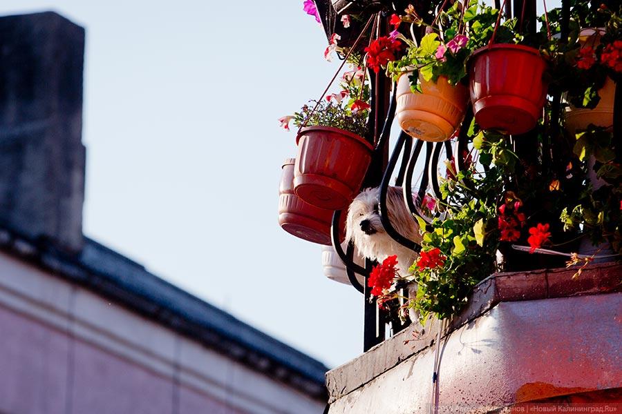 Даркемен, Ангерапп, Озёрск: как живет город с тремя именами