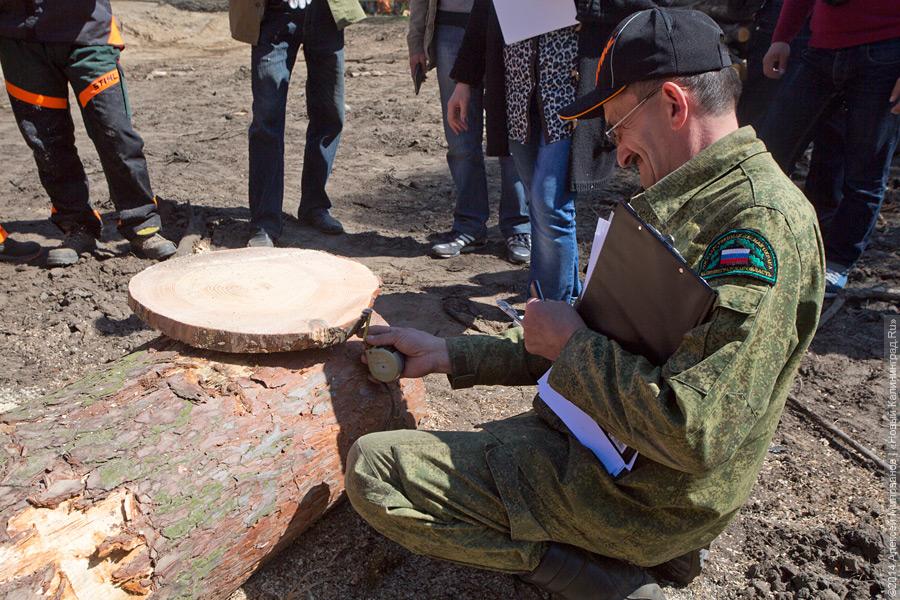 Лесной распил: как проходят соревнования лесорубов (фото)