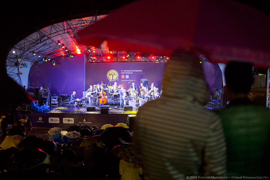 Фото — Алексей МИЛОВАНОВ, «Новый Калининград.Ru».