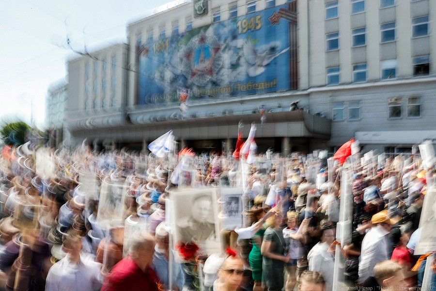 Ради мира на земле: шествие «Бессмертного полка» в Калининграде (фото)