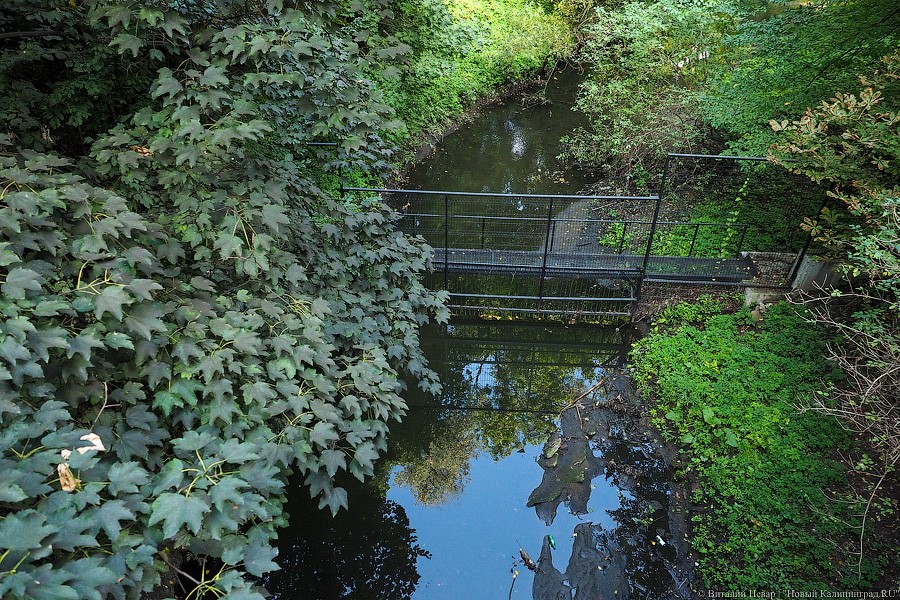Прокуратура: на Парковом ручье нашли сброс неочищенных вод «Гидротехником» и 22 незаконных выпуска