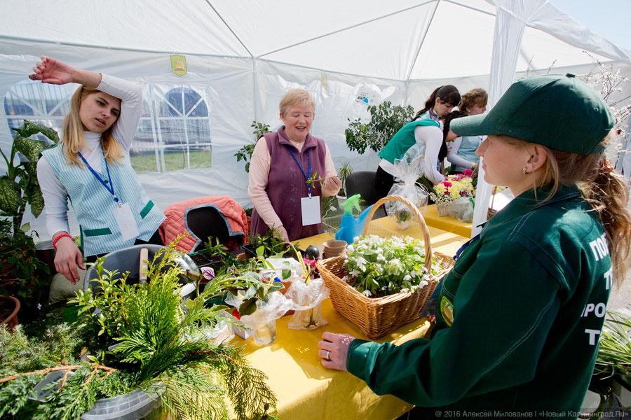 Жизнь как главный проект: выставка «PRO Ярмарка образования» в Калининграде