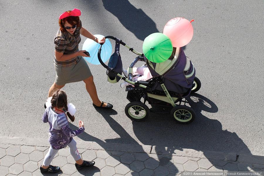 "Пропуская пешеходов": фоторепортаж "Нового Калининграда.Ru"