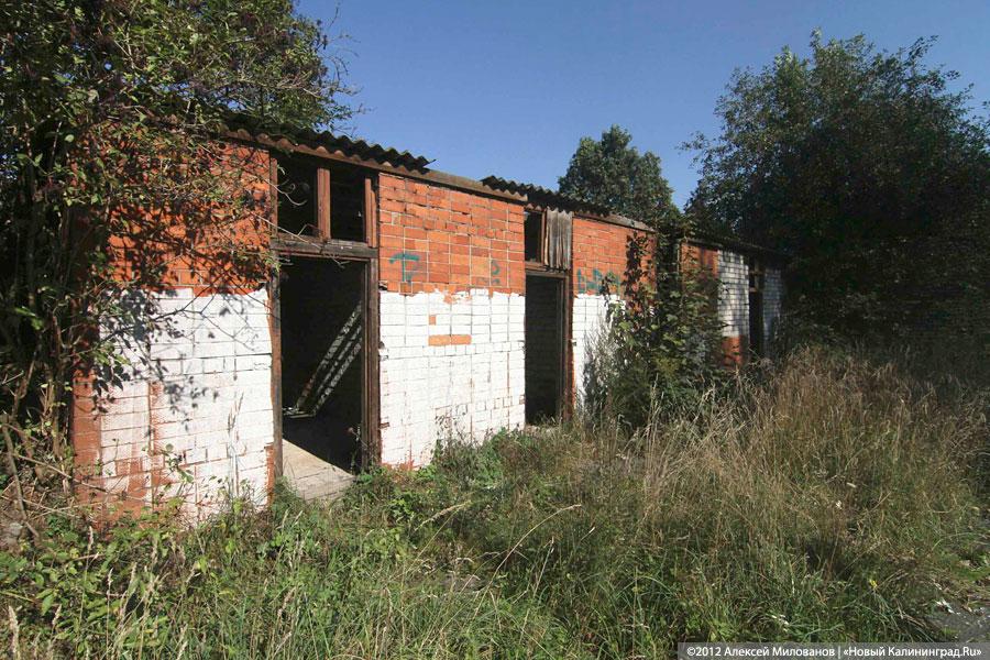 «Куда ушли детские сады»: фоторепортаж «Нового Калининграда.Ru»