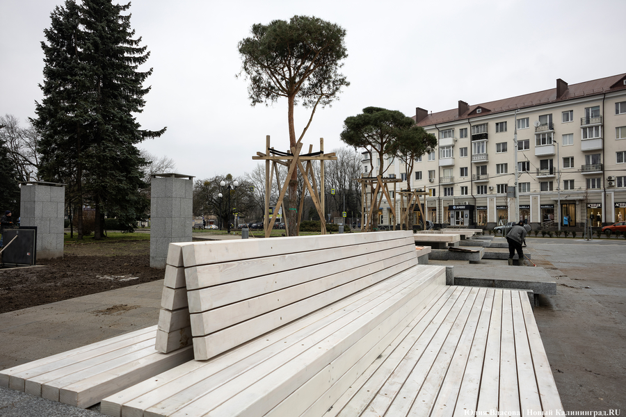 В трех соснах: как выглядит благоустроенная территория у стадиона «Балтика» (фото)