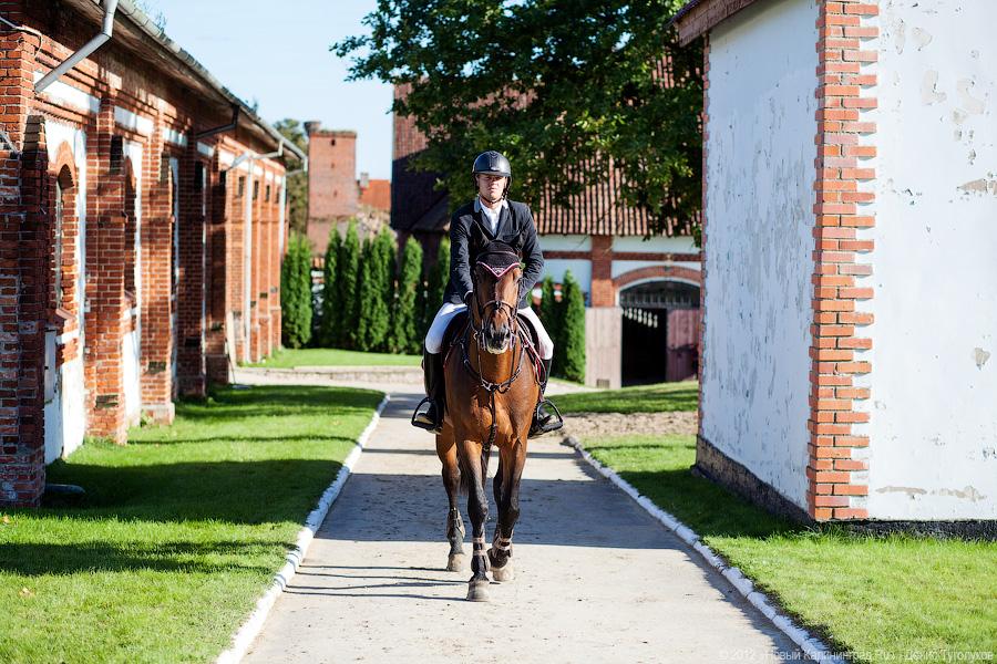 «Кубок президента РФ для немцев»: фоторепортаж с турнира по конкуру в Георгенбурге