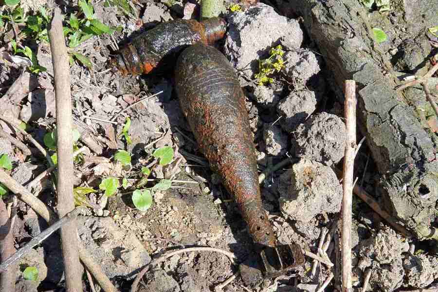 На неиспользуемой территории зоопарка обнаружили мину времен ВОВ (фото)