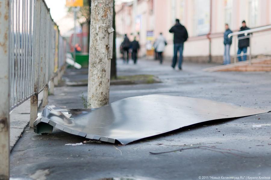 «А поутру они проснулись»: фоторепортаж «Нового Калининграда.Ru»