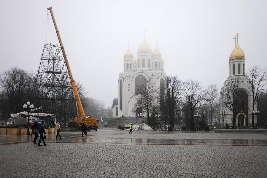 От каркаса до игрушки: в Калининграде собрали главную городскую елку