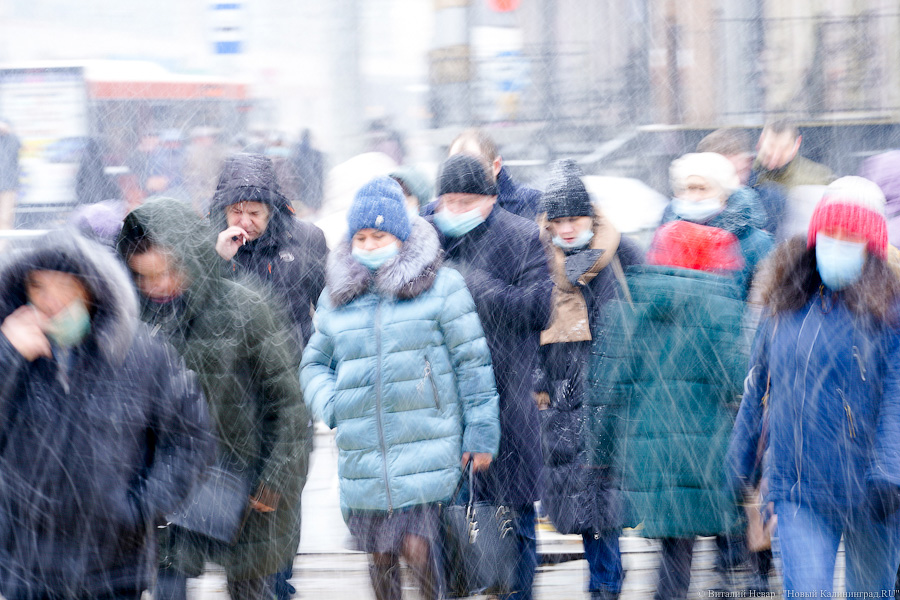 Власти России определились со временем проведения перенесенной переписи населения  