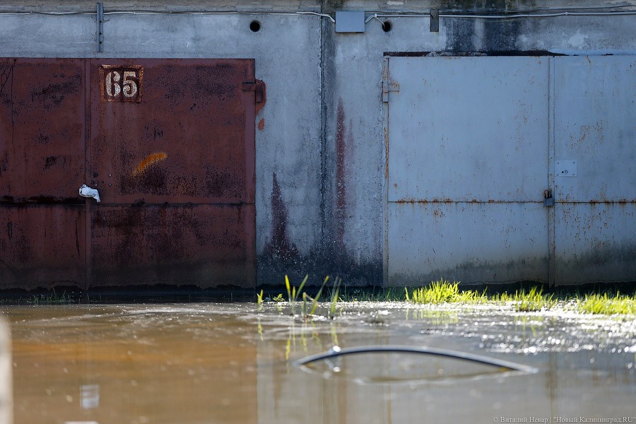 В Калининграде затопило гаражное общество на Острове около стадиона (фото)