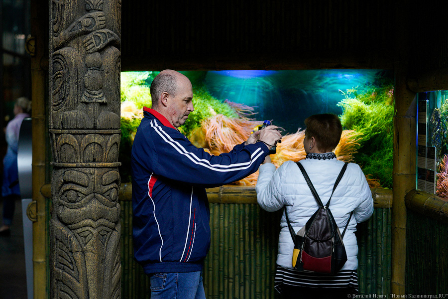 Вот компания какая: Калининградский зоопарк открыл все павильоны для посетителей