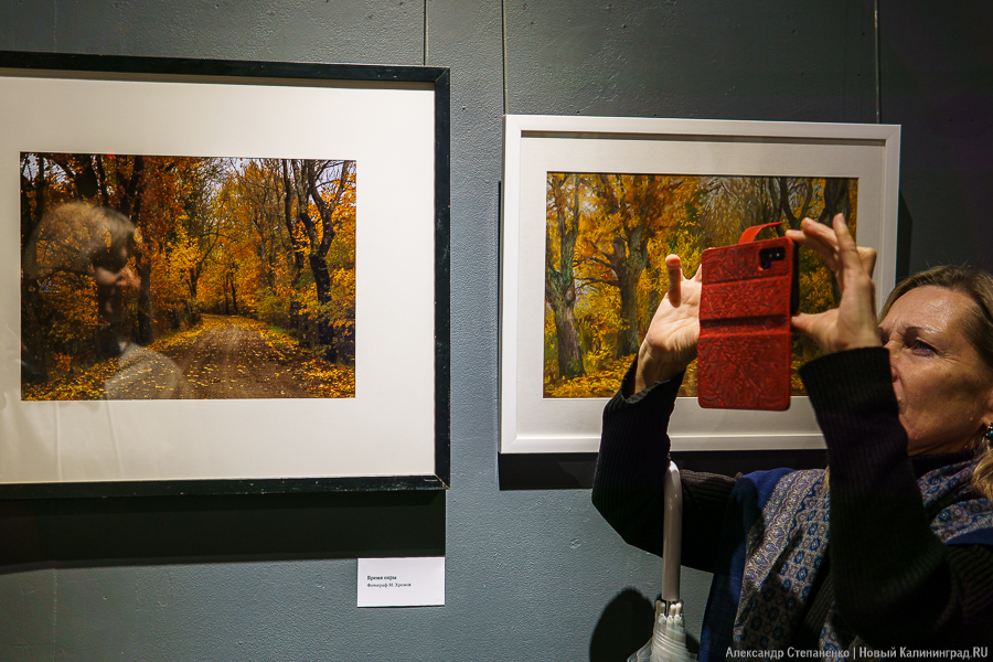 «О чем молчат деревья»: в Воротах открылась выставка, воспевающая придорожные аллеи (фото)