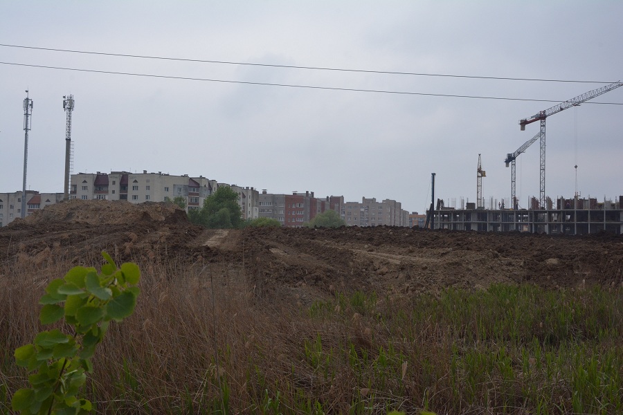 Гора на болоте: в Калининграде засыпают пойму ручья ради строительства жилья (фото)