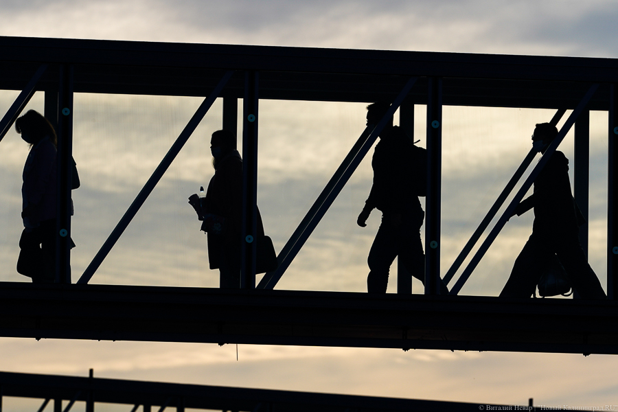 «От 18 до 30»: из-за COVID участников проекта «Мы — россияне» ищут в вузах и соцсетях