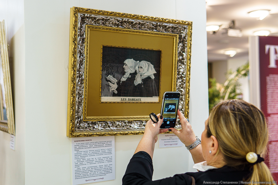 «С французским шармом»: в Калининграде открылась выставка шелковых картин (фото)