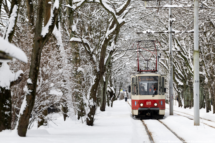Зима не сдаётся: как выглядят улицы Калининграда после «снежного удара» (фото)