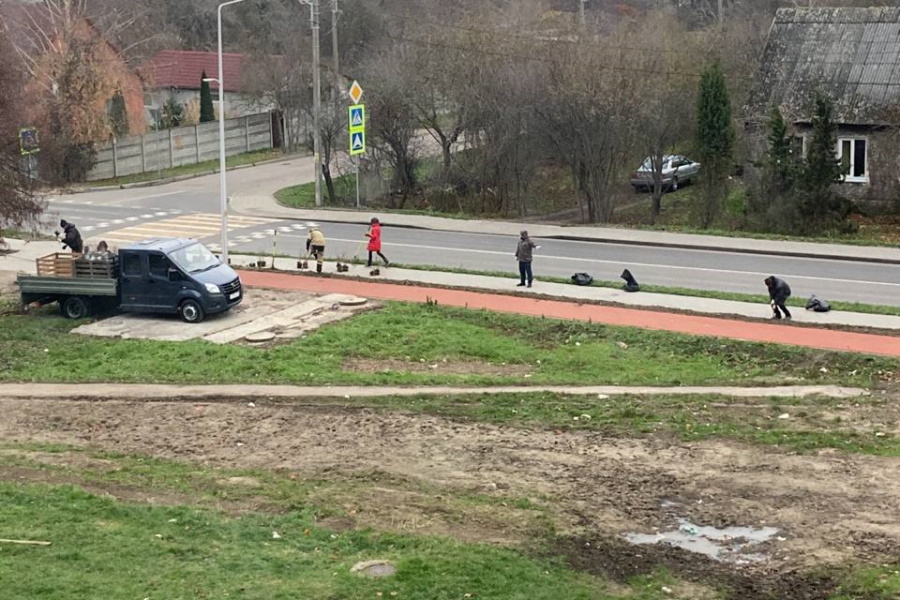 Калининградцы пожаловались, что на Судостроительной в мороз сажают деревья (фото)