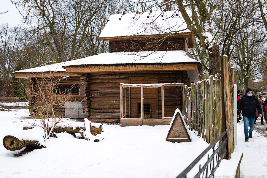 Проще — не всегда правильнее: в Калининградском зоопарке отремонтировали исторические вольеры (фото)
