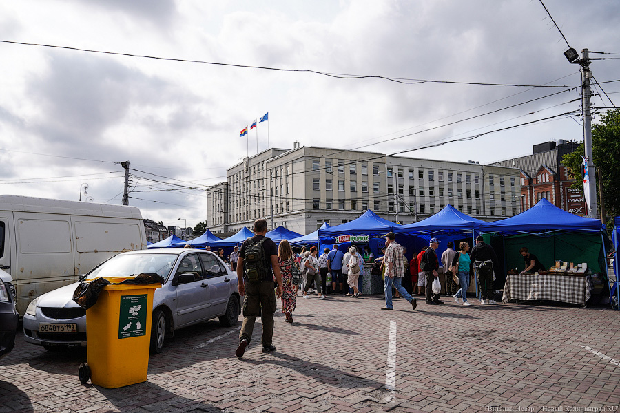 Базар-вокзал: как проходит сельхозярмарка на площади Победы в Калининграде