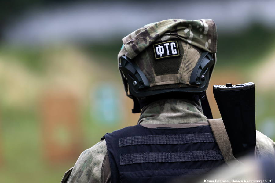 Таможенный спецназ: как проходит чемпионат по служебному двоеборью в Калининградской области (фото)