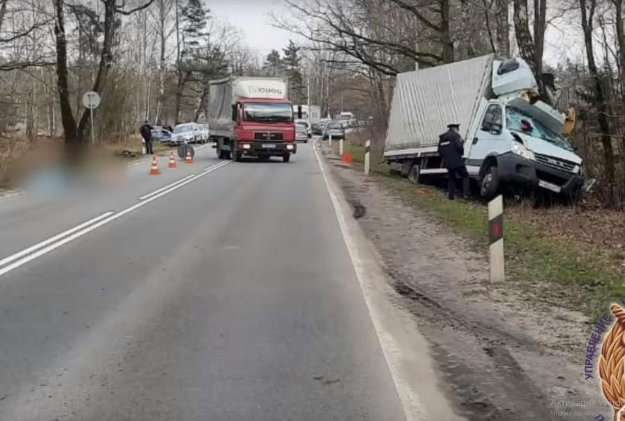 Водитель, насмерть сбивший велосипедиста под Светлым: «Он выехал на середину дороги» (видео)